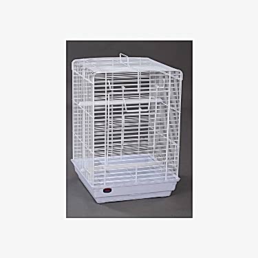 Dayang Papağan Kafesi 40x40x58 Beyaz