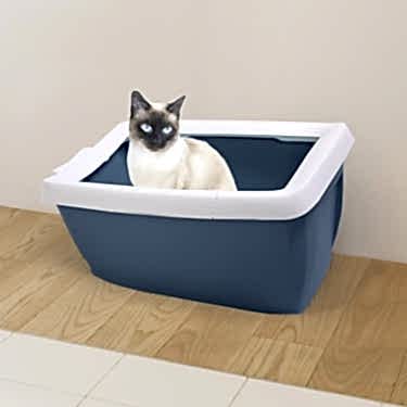 Imac Funny Kedi Tuvaleti Yeşil/beyaz 65x47,5x33cm