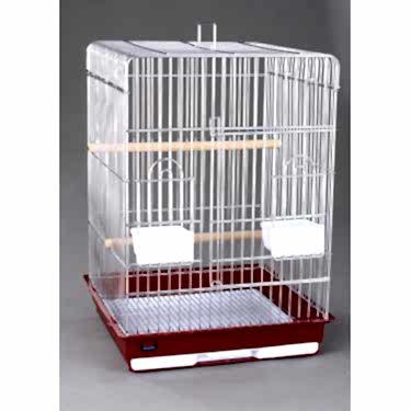 Dayang Papağan Kafes Küçük 47x47x65