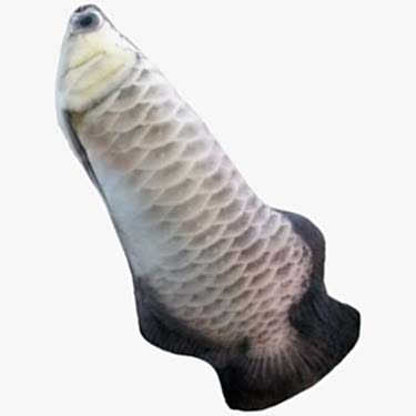 Eastland Peluş Oyn. Gümüş Arowana 40 Cm