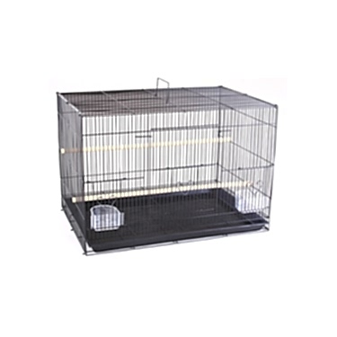 Dayang Salma Kafes 60x41x41