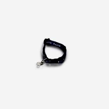 Beeztees Yavru Kedi Tasması 23 Cm Mavi