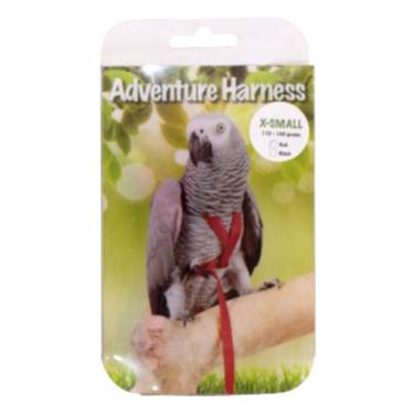 Eastland Kuş Göğüs Tasma Xs 8,5x25x135cm