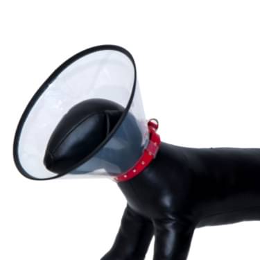 Eastland Elızabeth Dayanıklı Yakalık 10 Cm