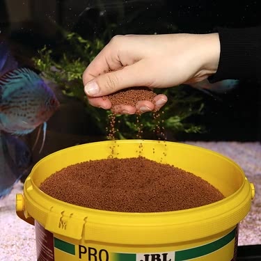 Jbl Pronovo Bıts Grano M 5,5l