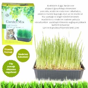 Gardenmix Kedi Çimi