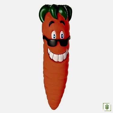 Eastland Havuç     20 Cm