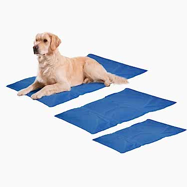 Karlie Soğutucu Mat 100*60cm Mavi