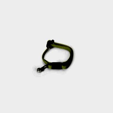 Beeztees Yavru Kedi Tasması 23 Cm Sarı