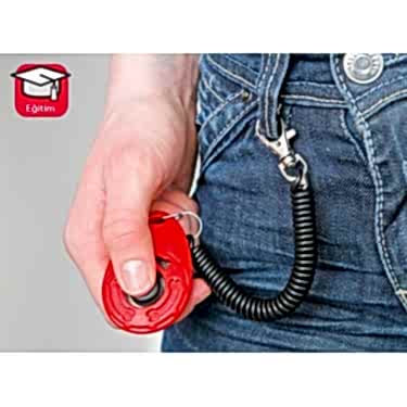 Karlıe Hızlı Clıcker 6x4cm