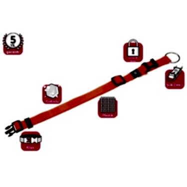 Karlıe Kilitli Boyun Tasma L 45-65 Cm Turuncu