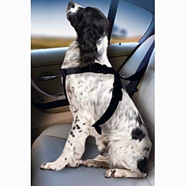 Karlıe Köpek Araç İçi Göğüs Tasması Siyah (68-86)