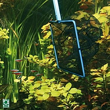 Jbl Premium Kepçe 8 Cm