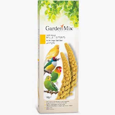 Gardenmix Platin Sarı Dal Darı