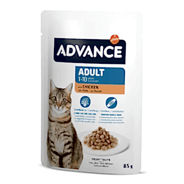 Advance Cat Adult Chıcken Wet Pouch 12x85gr