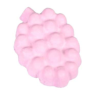 Karlıe Kemirme Taşı Ahududu 60gr