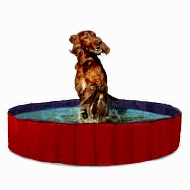 Karlıe Köpek Havuzu 120cm Çap Mavi Kırmızı