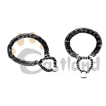 Eastland Eğitim Tasması 3 Sıra 2,5 X 55 Cm