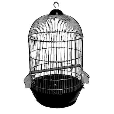 Dayang Yuvarlak Kafes Renkli 40x70cm Siyah