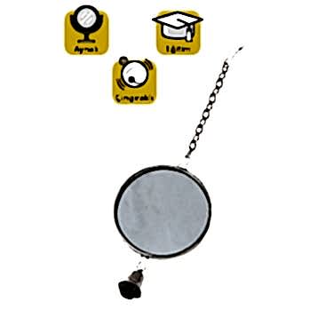 Karlıe Aynalı Kuş Oyuncağı Çap 5 Cm