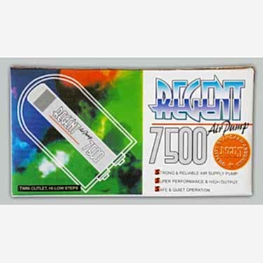 Regent 7500 Hava Motoru Çift Çıkış