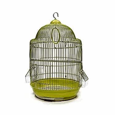 Dayang Yuvarlak Kafes Renkli   33x50