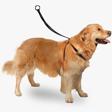 Karlıe Easy Walker Göğüs Tasma 40*58 Cm Large