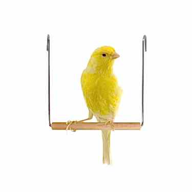 Karlıe Ahşap Kuş Salıncağı 13x13x13cm