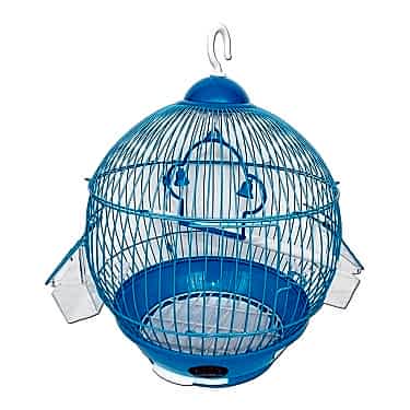 Dünya Kafes Orta 23x37 Colour