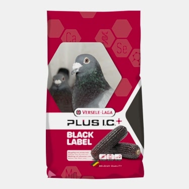 Versele Laga Plus Ic Gerry Black Label Güvercin Yemi 20kg