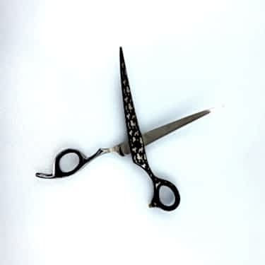 Sgroom Poodle Makas 7