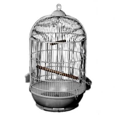 Dayang Yuvarlak Kafes Renkli 40x70 Cm Beyaz