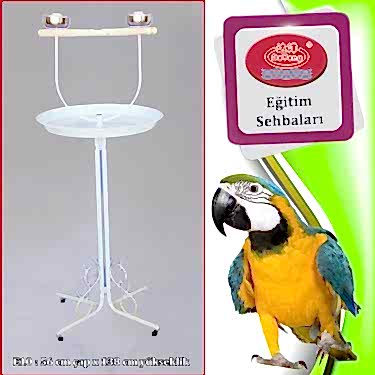 Dayang Papağan Eğitim Sehbası 56x138cm Beyaz