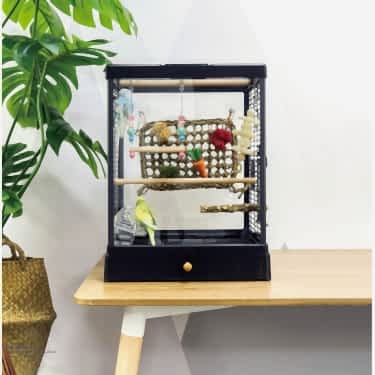 Dayang Kırılmaz Camlı Kuş Kafesi 39,5*43*51,3cm Siyah