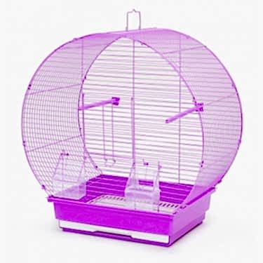 Dayang Oval Kafes 47x24x50