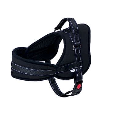 Eastland Çekmeyi Önleyici Reflektörlü Köpek Göğüs Tasma 2,5x65-80 Cm