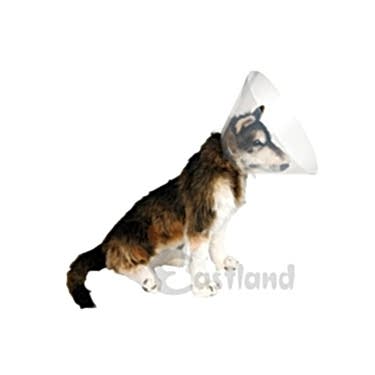 Eastland Yakalık(elizabet) 12.5 Cm