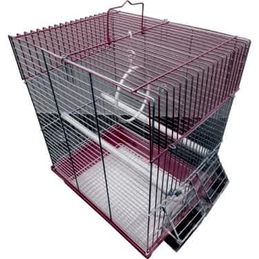 Dayang İki Kapılı Düz Muh.kafesi Renkli 30*23*39cm